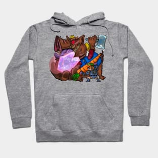 Save the Princess! Hoodie